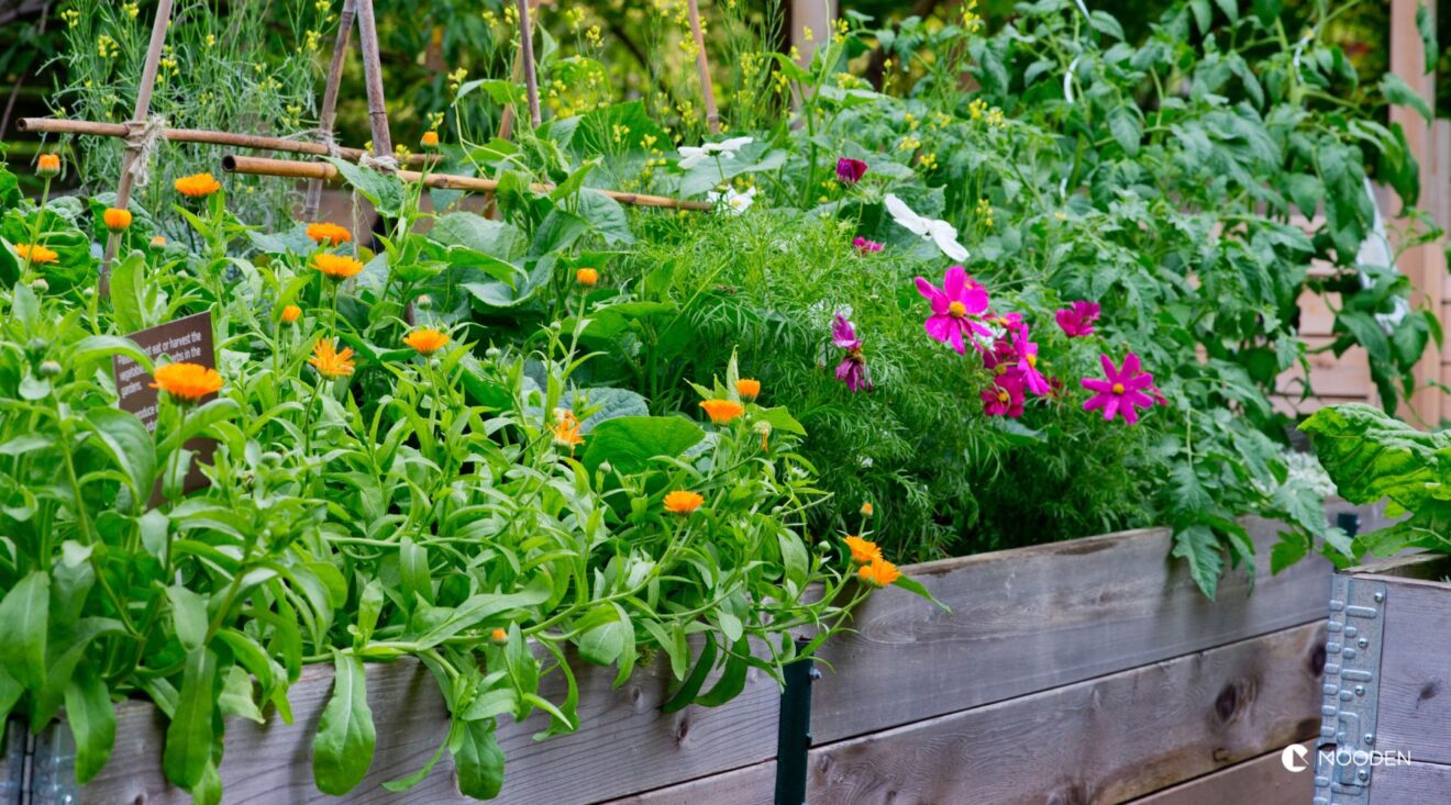 Společenské prostory - sousedská komunita