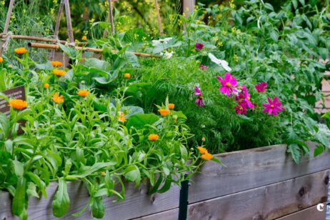 Společenské prostory - sousedská komunita