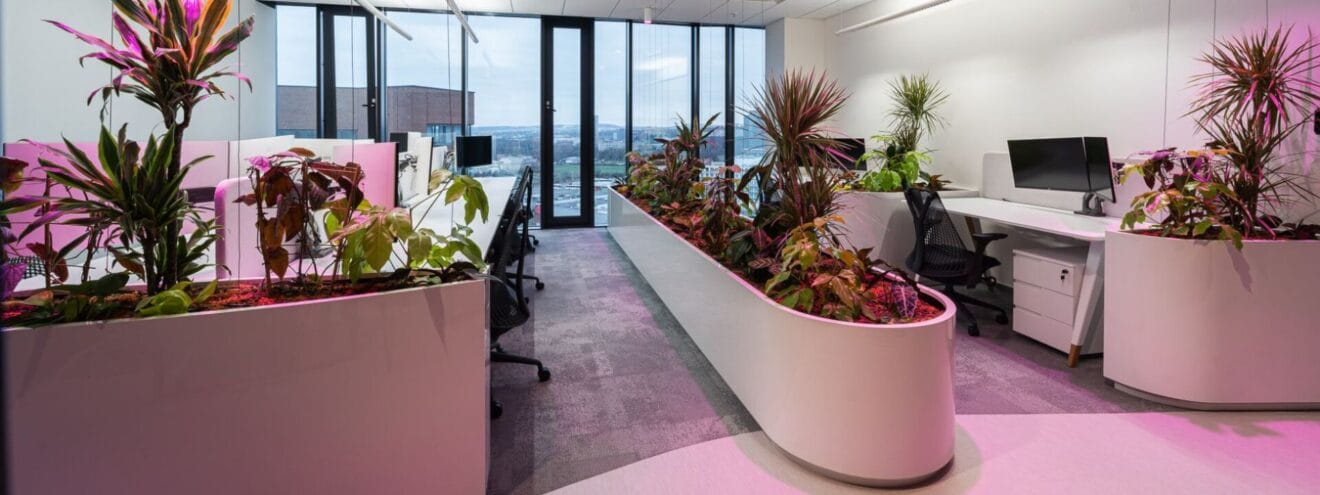 green office