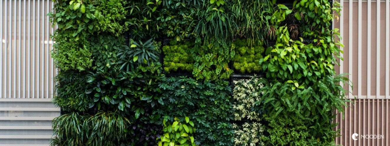 zelená stěna neboli vertikální zahrada v interiéru