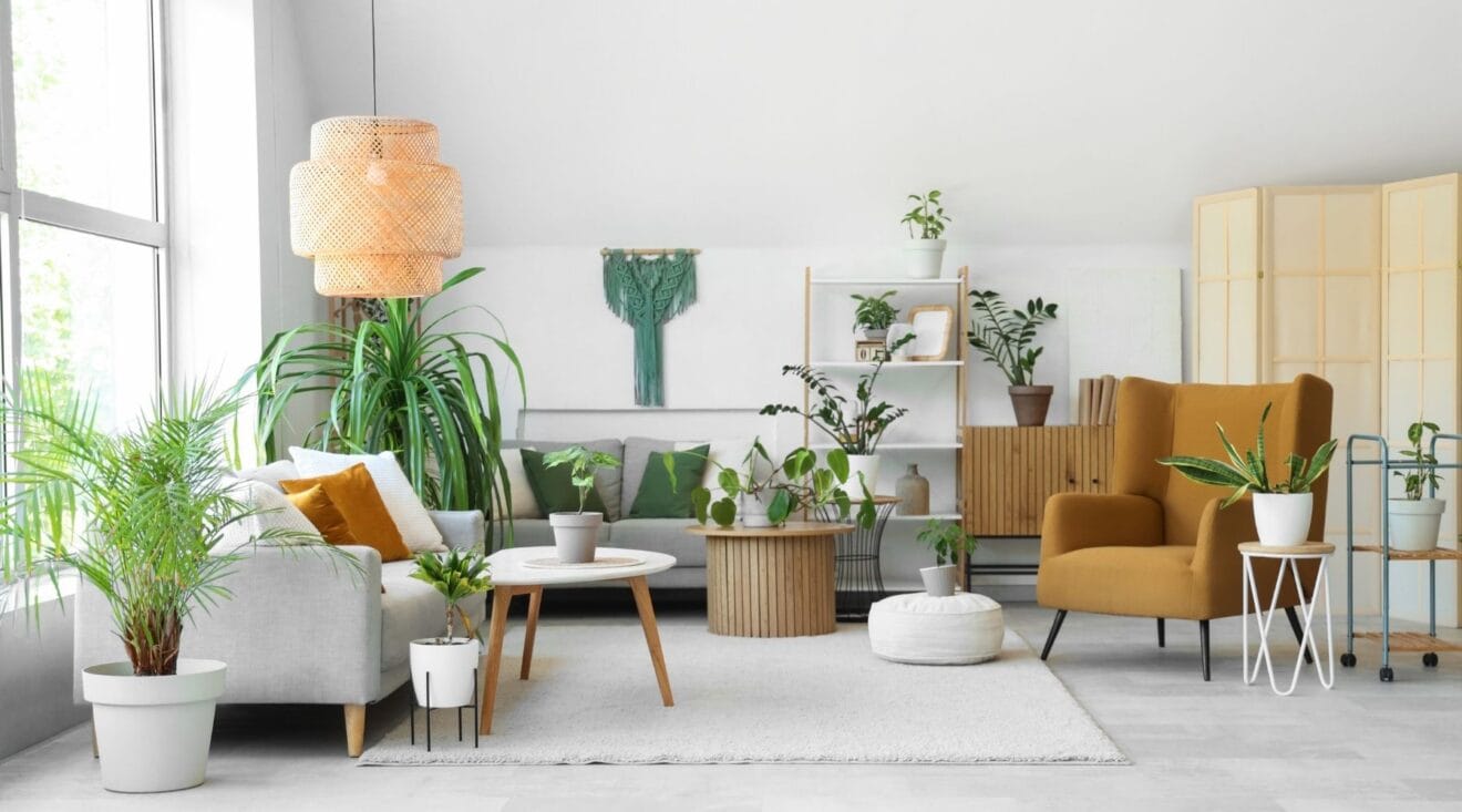 home wellness inspirace