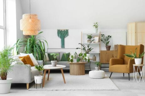 home wellness inspirace